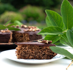 Homemade Chocolate Cake. Traditional Croatian cake - Skradinsky cake. World cuisines.