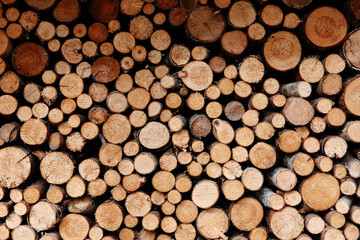 Abstract pattern of round logs stacked in wall outdoors