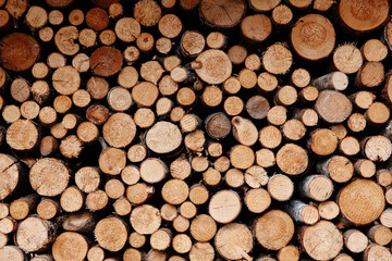 Freshly chopped wood arranged in pile outdoors