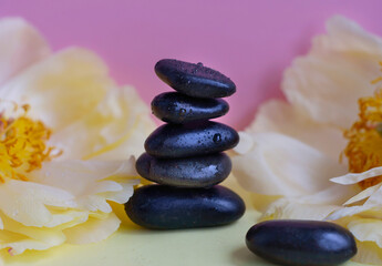 pyramid of stones and peony flowers on colored pink and yellow background. balanced zen stones. spa and relax creative concept.
