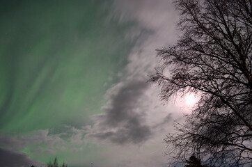 aurora borealis on winter night sky