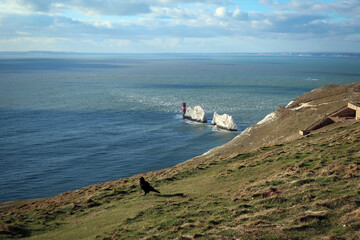 Fototapeta na wymiar Needles rocks general view from top, Isle of Wight, England