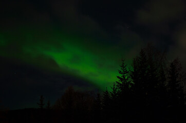 majestic aurora borealis in arctic circle winter landscape