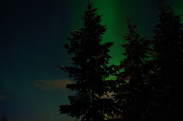 majestic aurora borealis in arctic circle winter landscape