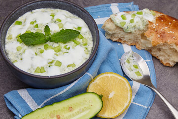 Tzatziki sauce of fresh cucumbers, mint and yogurt with lemon and garlic