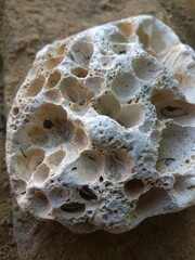 Sea rock