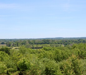 Obraz premium A view of the trees in the countryside landscape.