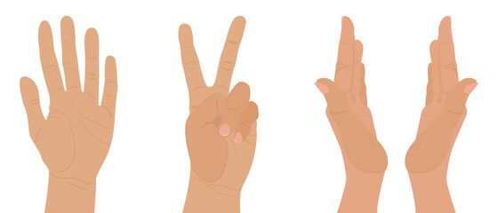 Set of gestures and hands in different poses. Vector illustration of hands isolated on a white background