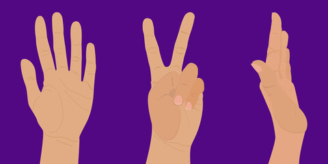 Set of gestures and hands in different poses. Vector illustration of hands isolated on a purple background