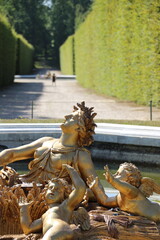 Fontaine dans les jardins du Château de Versailles
