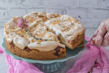 Delicious homemade rhubarb cake on a mint green cake plate, topped with sweet meringue and roasted almonds and decorated with summer flower. A female hand is taking one piece. Pink cloth and white bac