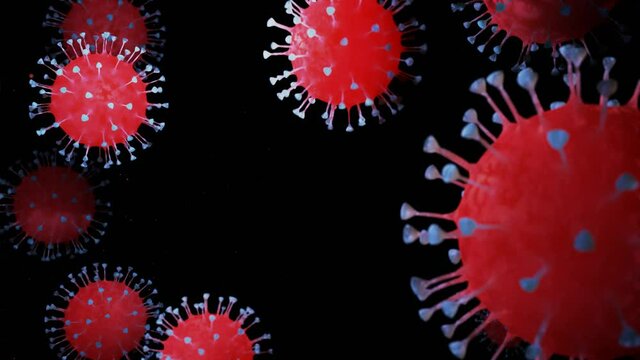 close-up coronavirus type covid-19, h1n1, bird flu or swine flu move smoothly in fluid 3d representation of virus as microbiological microscopic looped background. Red blue gradient 21