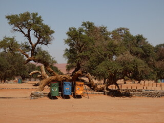 Colorful waste containers (glass, metal, others) on a campsite in Namibia, Africa