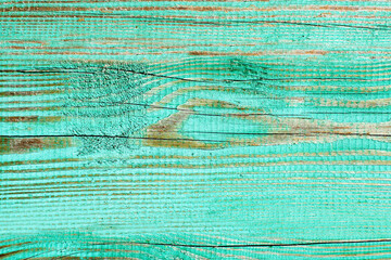 Green wood texture background