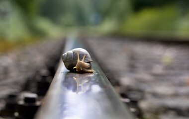 Just be on the right track