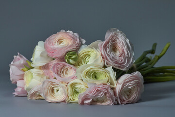 Spring flowers bouquet. Pink and white ranunculus flowers isolated on gray background. Beautiful buttercup bouquet.