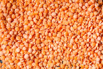 lentils bean product set Menu concept serving size. food background top view copy space organic healthy eating