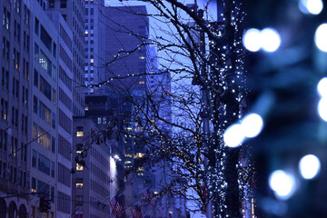 festive glowing lights threaded through trees on a blue and dusky city street in the early winter