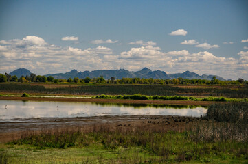 Sutter Buttes, California springtime 