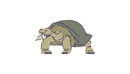 Tortoise eating leaf semi flat RGB color vector illustration. Indonesian wildlife turtle. Safari conservation endangered creature. Wild animal isolated cartoon character on white background