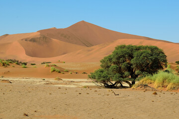 NAMIBIA. BIG SAND DUNES IN THE NAMIB DESERT.