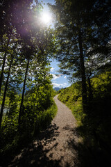 Obraz premium Wanderweg in den Allgäuer Alpen