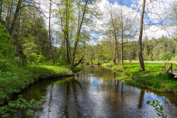 Fototapeta na wymiar A river in the Blue Lakes region of the Narachanski National Park