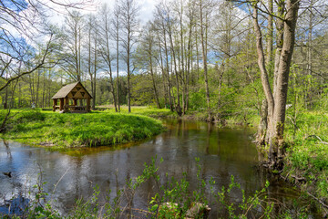 Obraz premium A river in the Blue Lakes region of the Narachanski National Park