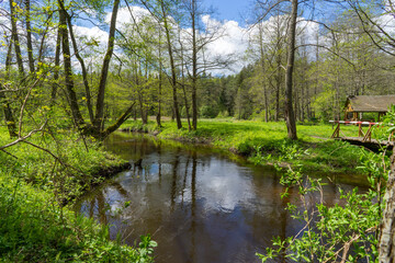 Fototapeta na wymiar A river in the Blue Lakes region of the Narachanski National Park