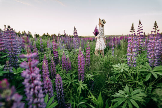 blonde girl in a field of lupins wide angle photo