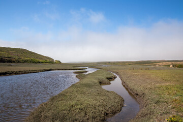 Drakes Estero in Point Reyes National Park, California
