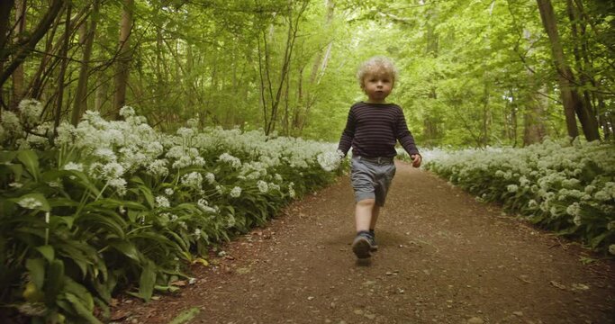 Cute Toddler Boy Walking in the Forest with Flowers in Hand