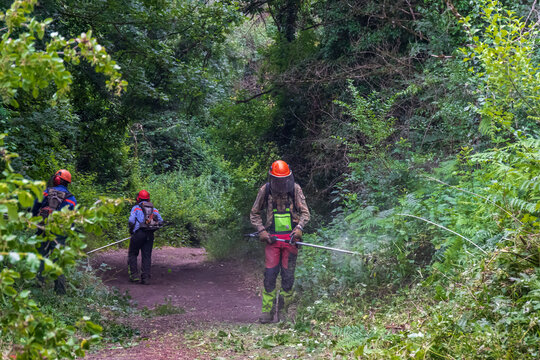 Men in overalls cut the weeds on a country path.