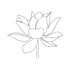 Hand drawn lotus flower line art illustration. Outline floral drawing. Water Lily vector design. Yoga concept