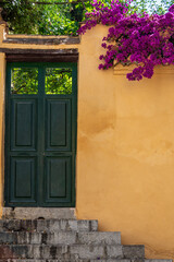 Fototapeta na wymiar Green exterior wooden door next to a yellow wall with purple flowers of a bougainvillea