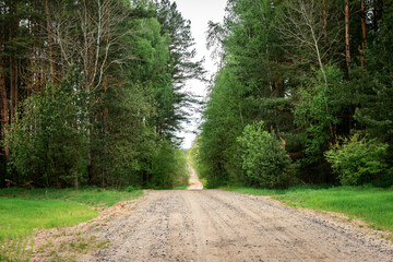 Fototapeta premium Gravel road along the field.