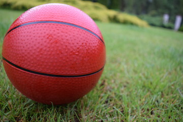 A wet children's basketball ball lying on fresh grass after the rain. In the background you can see a blurred part of the garden.