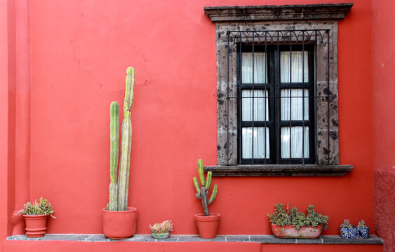 vista de casa con  arquitectura decoraci&oacute;n y vegetacion tradicional mexicana