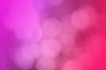 flowers blooming in spring, easter time against a natural sunny blurred garden banner background of blue, yellow and white bokeh.