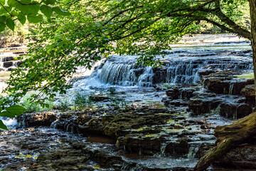 Obraz premium waterfall in the forest