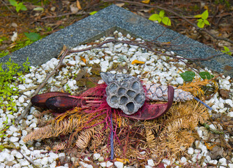 Vetrocknetes Grabgesteck