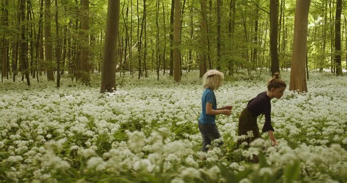 Lush Plants, White Flowers and Siblings Walking as They Pick Some Flowers