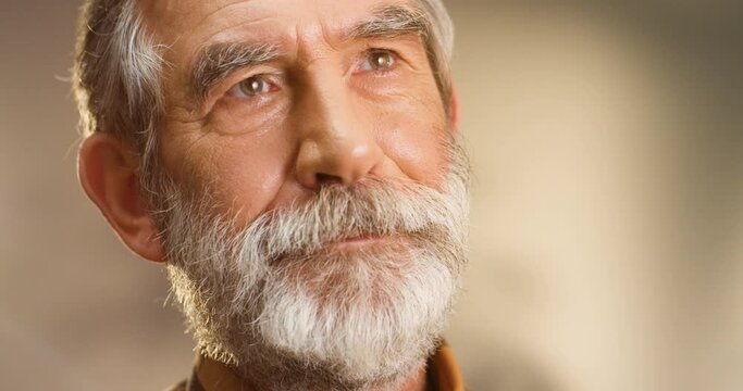 Portrait of Caucasian old man with gray-haired and beard looking up with shrewd eyes and then turning look straight to camera on blurred background. Close up of senior male face.