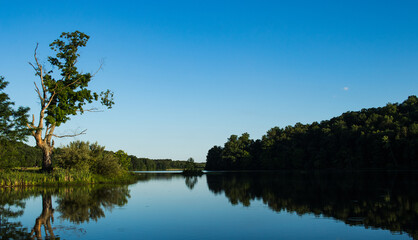 Lake and forest scene at sunset