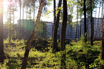 construction of a new residential complex in the forest