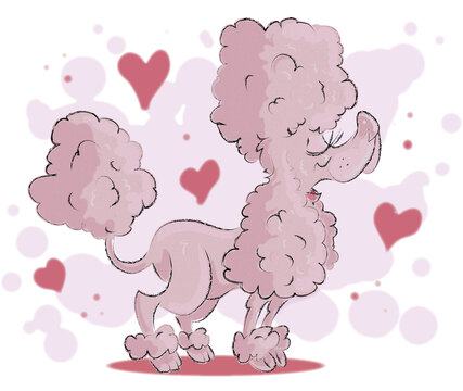 Pink Poodle Love