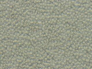 Mouse Macrophage Cells (TIB-67 Cells) were captured by Light Microscope (200x).