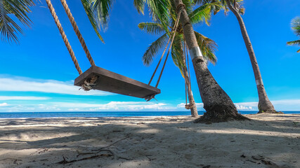 swing on the beach with palm trees