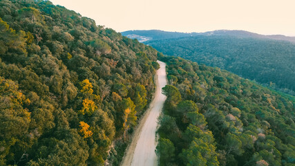 Landscape of mountains full of green trees and a dirt road crossing the first mountain.