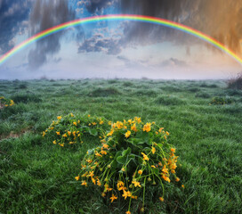 Naklejka premium Rainbow over the meadow. picturesque spring morning